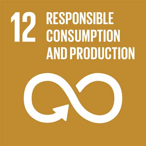 SDG 12 Responsible consumption and production