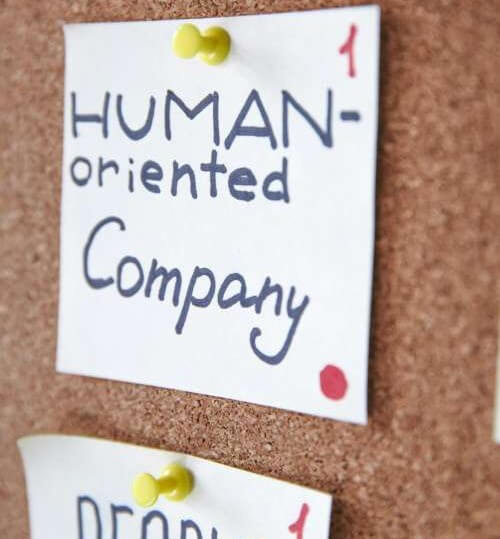 Ein Bild von einem Board mit Post-Its zu Nachhaltigkeitsthemen.